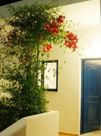 Apartamento Fragokastello Star Frangokastello Exterior foto